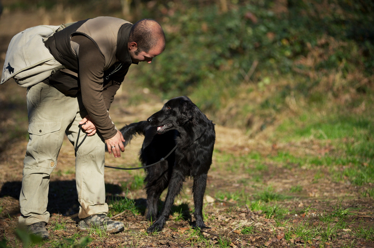 Shot n‘ Retrieve & Workingtest<br><small>Bülach & Como/Italy ’14</small>