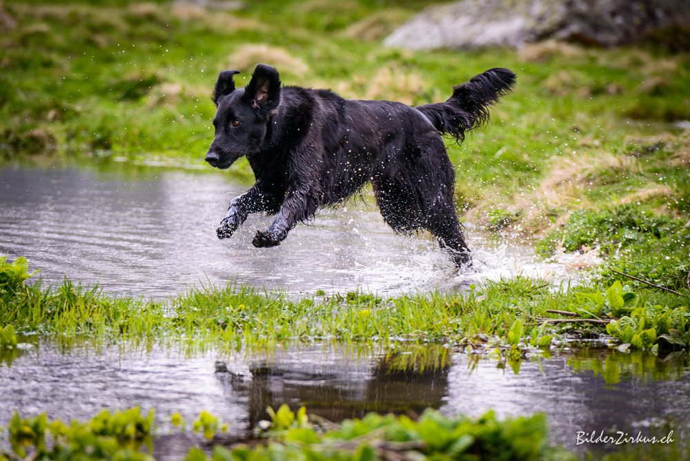 Training & Workingtest<br><small>Andermatt/Oberwald ’14</small>